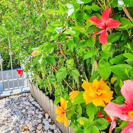 Nyaraló Casa Da Achada In Arco da Calheta