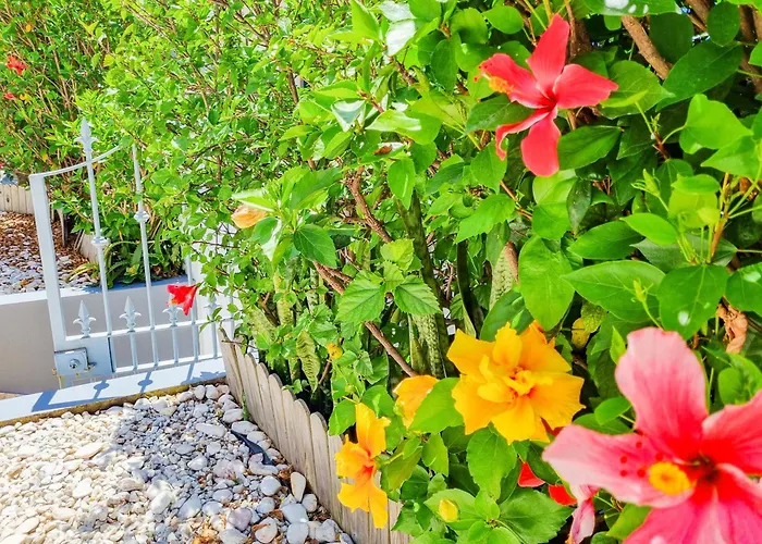 Hébergement de vacances Casa Da Achada In Arco da Calheta (Madeira)